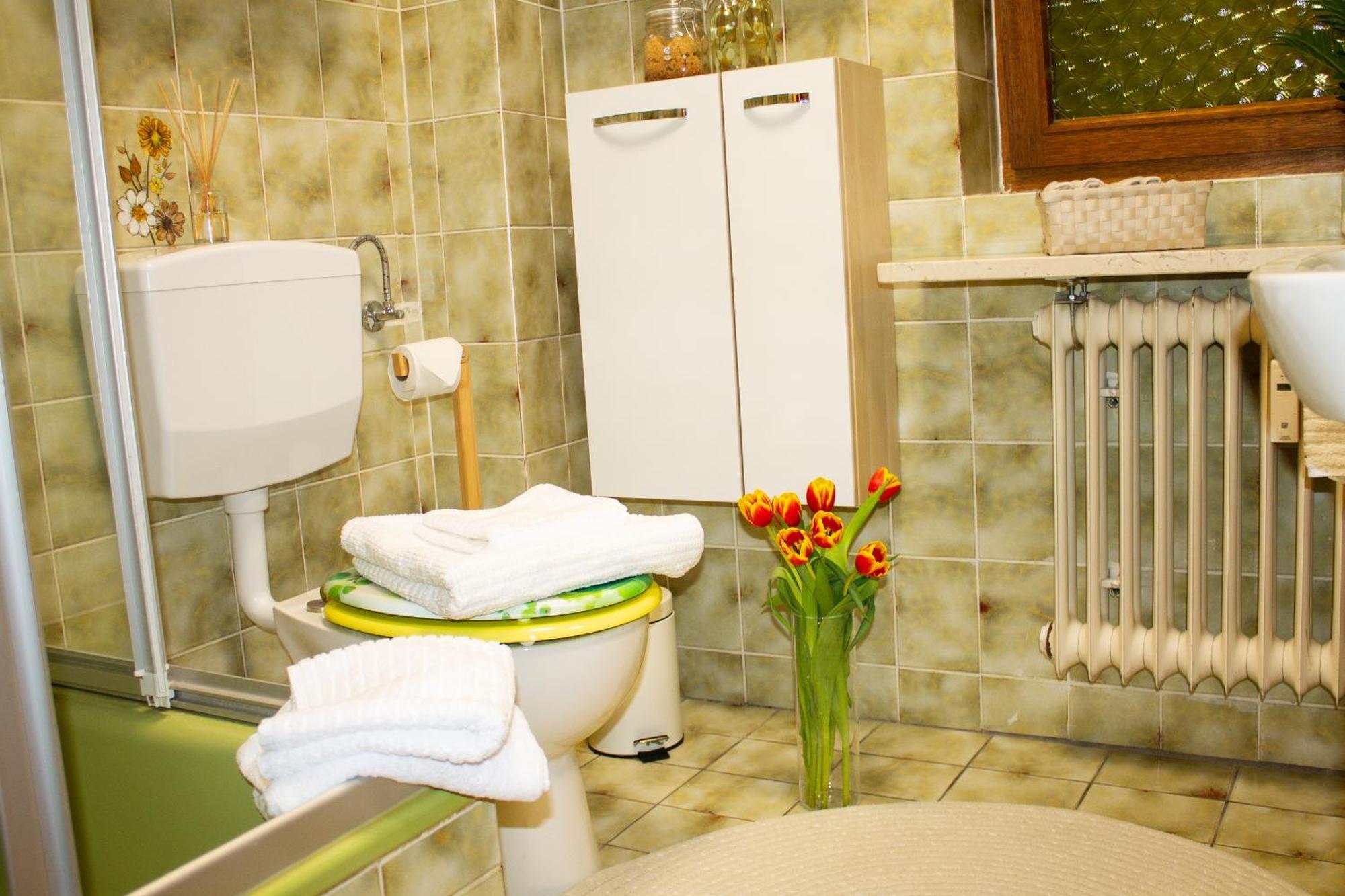 Ferienwohnung In Schoenwald Schwarzwald מראה חיצוני תמונה