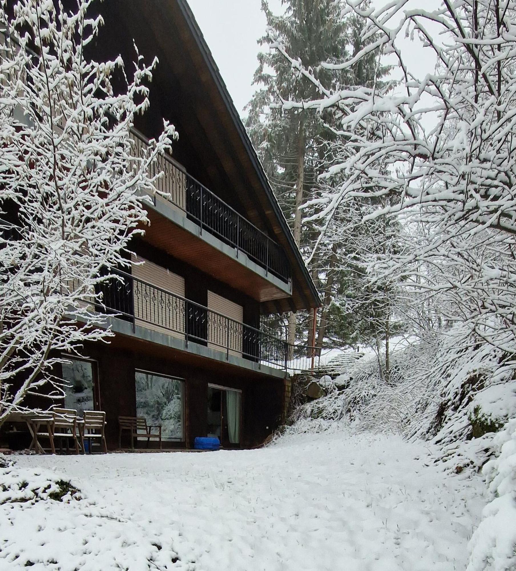 Ferienwohnung In Schoenwald Schwarzwald מראה חיצוני תמונה
